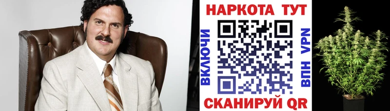Наркота Покачи Альфа ПВП  Канабис  COCAIN 