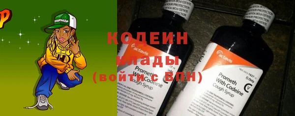 дурь Нея