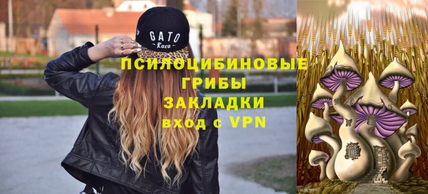 дурь Нея