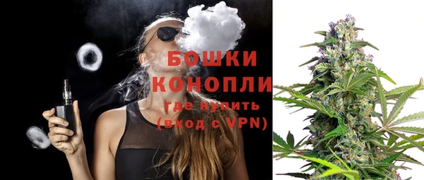 дурь Нея