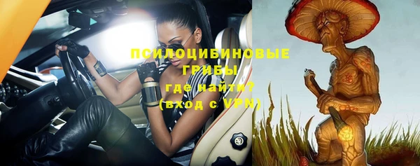 дурь Нея