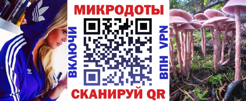 где купить наркоту  Покачи  Галлюциногенные грибы Magic Shrooms 