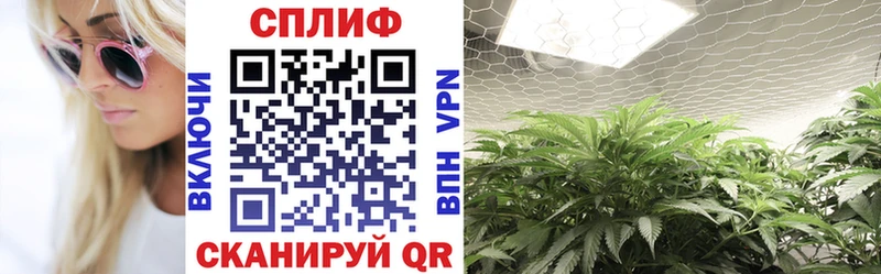 МАРИХУАНА White Widow Покачи